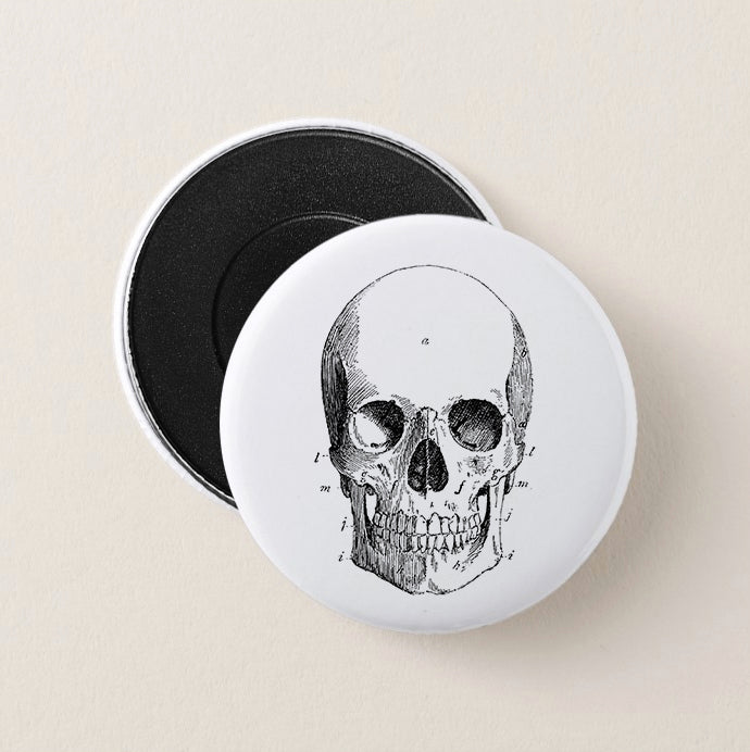 Vintage Collection "Teschio Anatomico" - Magnete