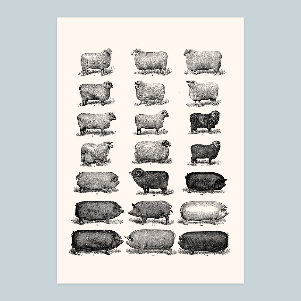 Farm - A4 Print