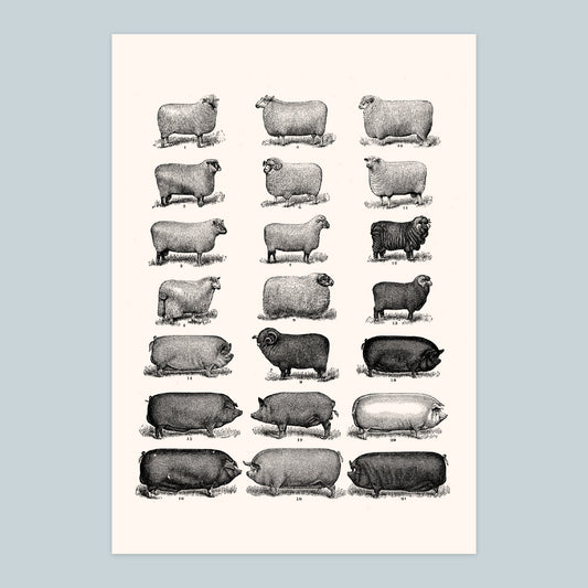 Farm - A4 Print