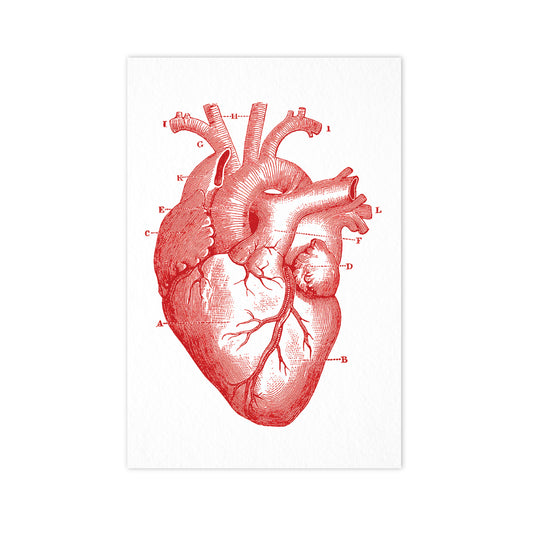 Heart - "Vintage Series" Ahoy Postcard