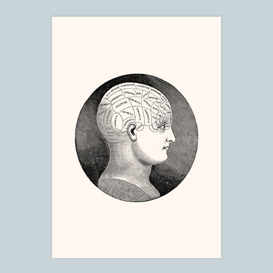 Phrenology - A4 Print