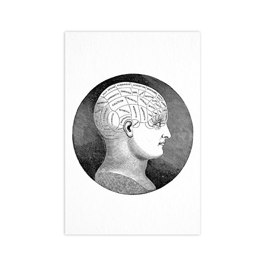 Phrenology - "Vintage Series" Ahoy Postcard