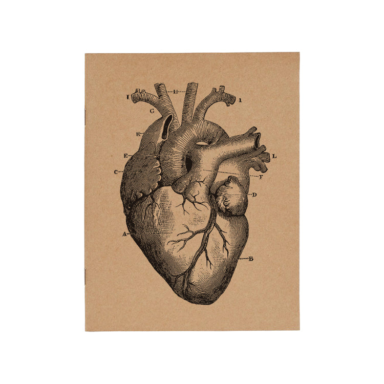 Vintage A6 Pocket Notebooks (Plain pages)