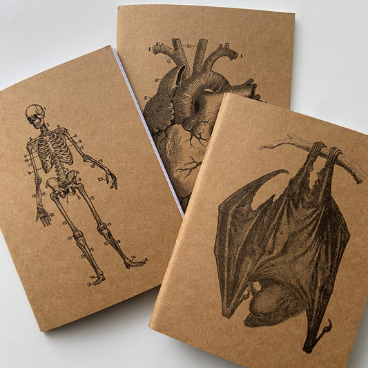 Vintage A6 Pocket Notebooks (Plain pages)