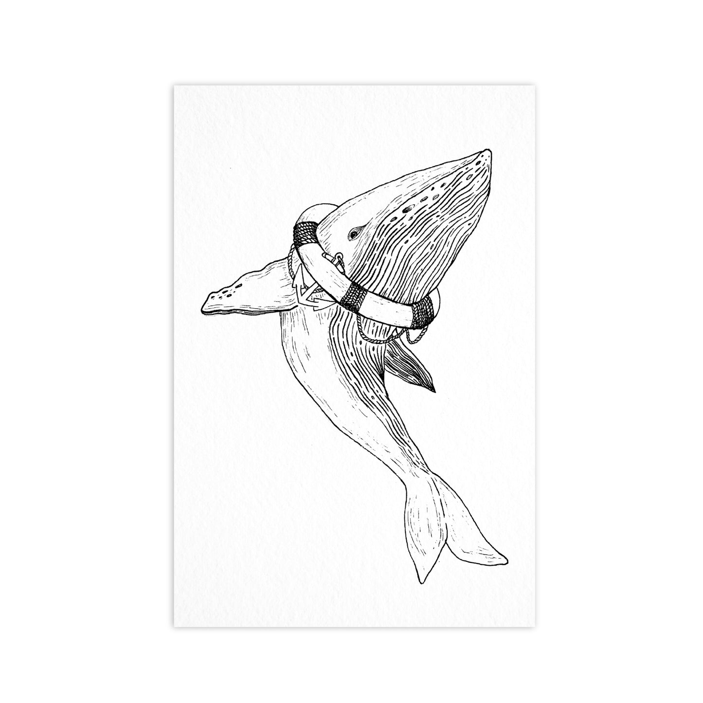 Balena - Cartolina