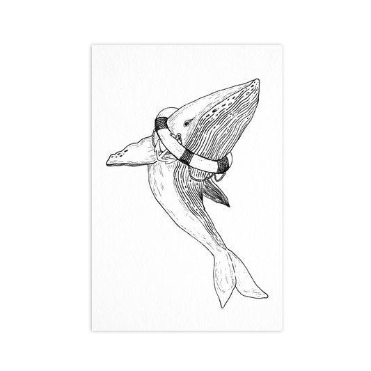 Whale - Postcard