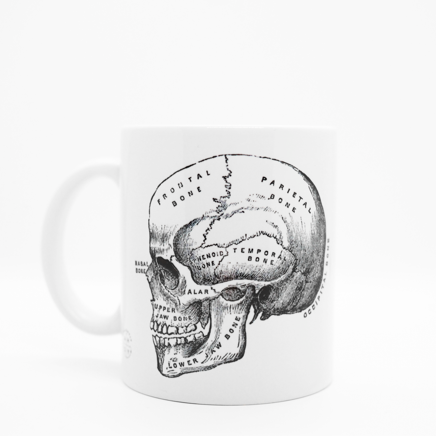 Skull - Ceramic Mug