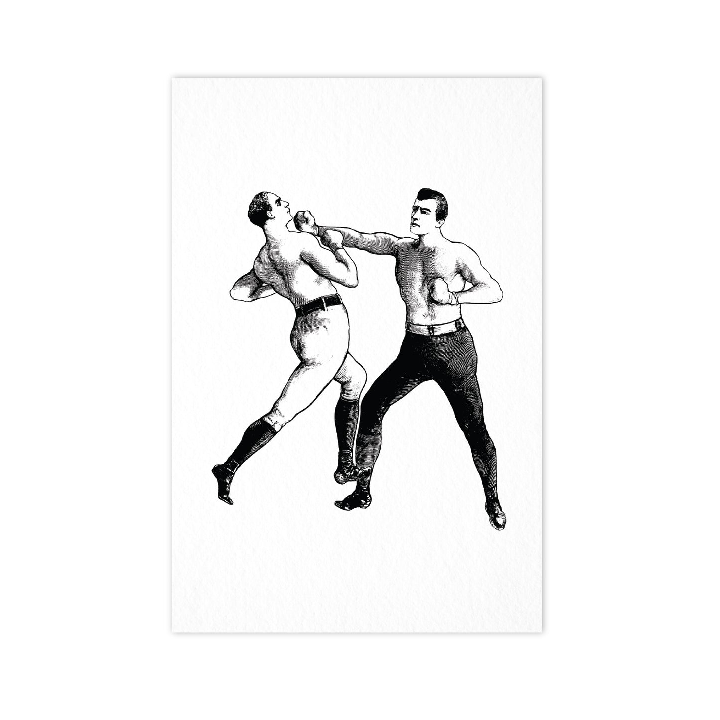 Boxers - Ahoy Vintage Postcard