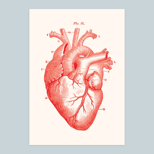 Heart - A4 Print